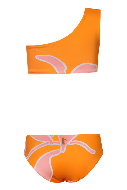 Mini Currulao / Orange Guava